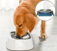 Yeni Nesil Su Sıçratmayan Köpek Su Kabı - No Splash Dog Water Bowl